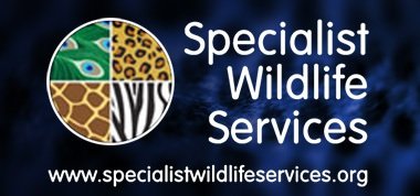 Specialist Wilde Services - Exotic Animal Re-Homing